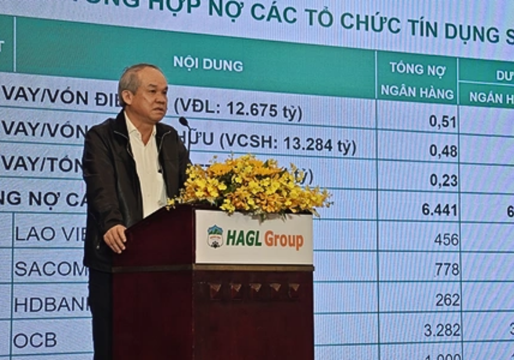2016 - Giai đoạn tăm tối nhất của tập đoàn Hoàng Anh Gia Lai, mấp mé bờ vực phá sản