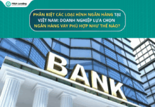 So sánh các loại hình ngân hàng tại Việt Nam: Doanh nghiệp lựa chọn ngân hàng vay phù hợp như thế nào?
