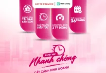 Duyệt vay nhanh chóng cho danh nghiệp cùng Lotte Finance